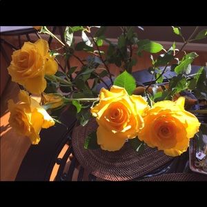 Meet your Posher, Joanna